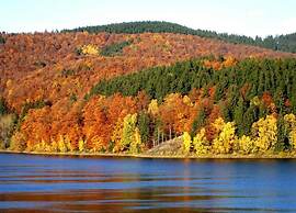 Detached Holiday Residence in the Wonderfully Beautiful Harz