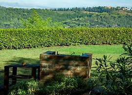 Apartment With Large Garden and Pool on the Hills of Pisa