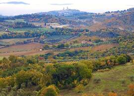 Apartment With Large Garden and Pool on the Hills of Pisa