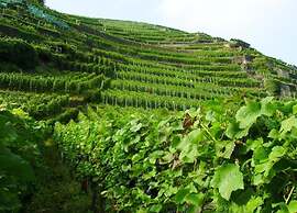 Charming Apartment in Morbach Germany With Terrace