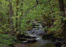 Charming Apartment in Morbach Germany With Terrace