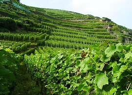 Charming Apartment in Morbach Germany With Terrace