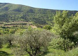 Apartment in Montbrun-les-bains Near Forest