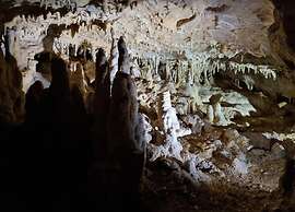 Appealing Apartment in Vezac With Swimming Pool