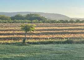 Appealing Apartment in Vezac With Swimming Pool