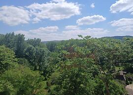 Appealing Apartment in Vezac With Swimming Pool