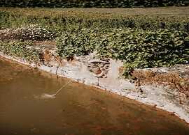 Appealing Apartment in Vezac With Swimming Pool