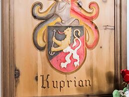 Comfortable Apartment in Langenfeld With ski Storage