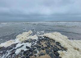 Studio Hazenborgh in Callantsoog Near the sea