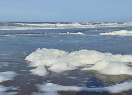 Studio Hazenborgh in Callantsoog Near the sea