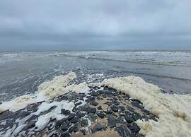 Studio Hazenborgh in Callantsoog Near the sea