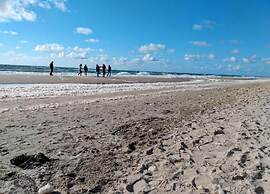 Studio Hazenborgh in Callantsoog Near the sea