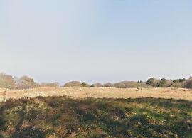 Studio Hazenborgh in Callantsoog Near the sea