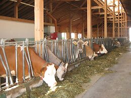 Apartment in the Allgau With View of the Bavarian Alps