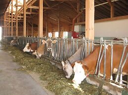 Apartment in the Allgau With View of the Bavarian Alps