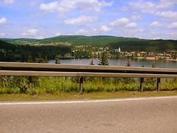 Beautiful Apartment in a Black Forest House With Conservatory