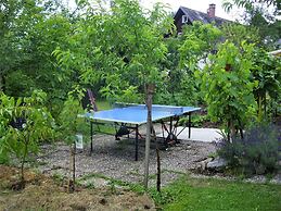 Beautiful Apartment in a Black Forest House With Conservatory