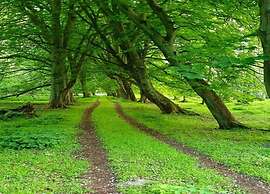 Modern Apartment in Wismar With Private Terrace