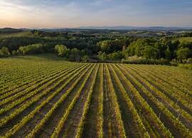 Idyllic Farmhouse in Gambassi Terme-fi With Swimming Pool