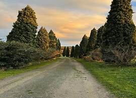 Idyllic Farmhouse in Gambassi Terme-fi With Swimming Pool