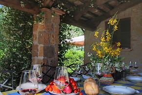 Cosy Farmhouse in Proceno With Swimming Pool