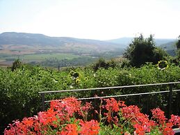Cosy Farmhouse in Proceno With Swimming Pool