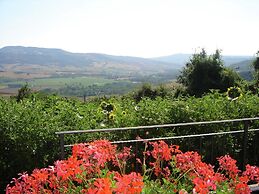 Cosy Farmhouse in Proceno With Swimming Pool