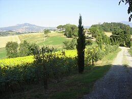 Cosy Farmhouse in Proceno With Swimming Pool
