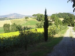 Cosy Farmhouse in Proceno With Swimming Pool