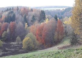 Spacious Semi-detached House With Wood Stove Located Directly on the R