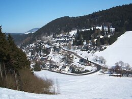 Modern Apartment in Schwalefeld With Garden