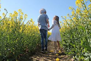 Comfortable Apartment Near Insel Poel