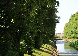 Lovely Apartment in Stellshagen With Garden