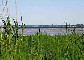 Lovely Apartment in Stellshagen With Garden