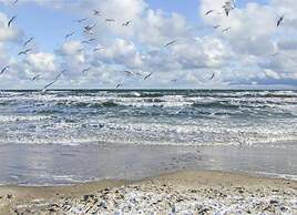 Lovely Apartment in Stellshagen With Garden