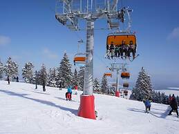 Snug Apartment in Jachymov Near Ski Area