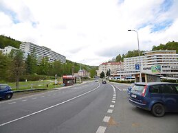 Snug Apartment in Jachymov Near Ski Area