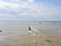 Lovely Holiday Home in Zierow With Terrace