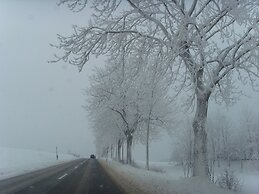 Spacious Apartment in Rattlar With Private Terrace