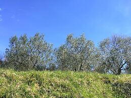 Farmhouse in Castelfranco Piandisco With Garden