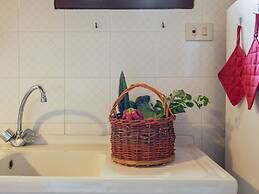 Farmhouse in Castelfranco Piandisco With Garden