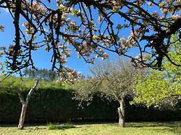 Ferienhaus in Medebach Nahe Skigebiet