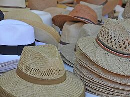 Beautiful Villa in Vidauban With Seasonal Pool