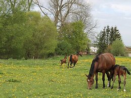 Ferienhaus in der Naehe der Ostsee