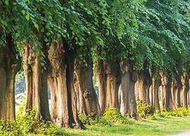 Ferienhaus in der Naehe der Ostsee
