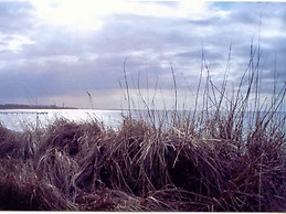 Ferienhaus in der Naehe der Ostsee