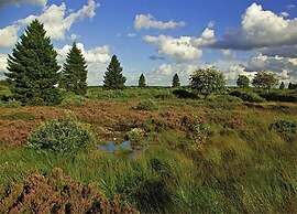 Cosy Apartment in Pepelow Near Baltic Sea