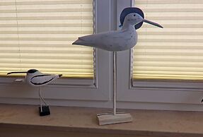 Tasteful Apartment in Rerik Germany With Garden