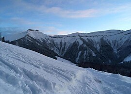 Cozy Apartment in Niedernsill Near Lake