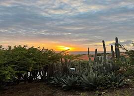 Holiday Villa at Jan Thielstrand in Willemstad